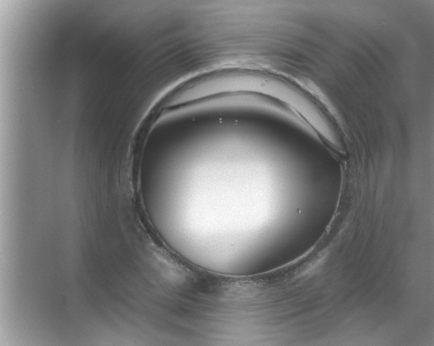 X0000069410830200605262207