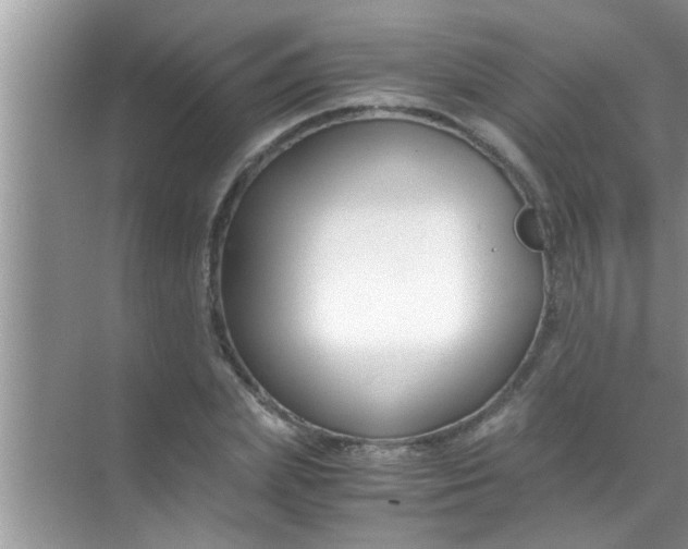 X0000069410831200605262207