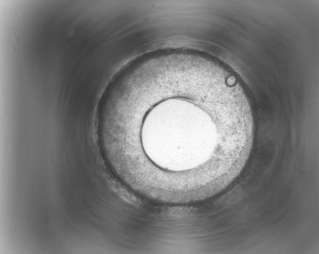 X0000069410832200605262207