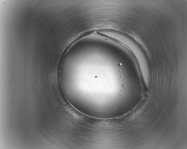 X0000069410834200605262207