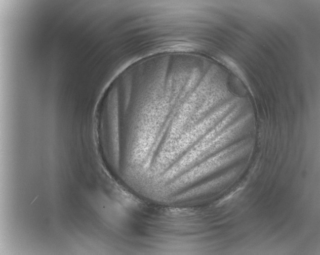 X0000069410835200605262207