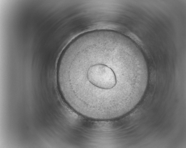 X0000069410836200605262207