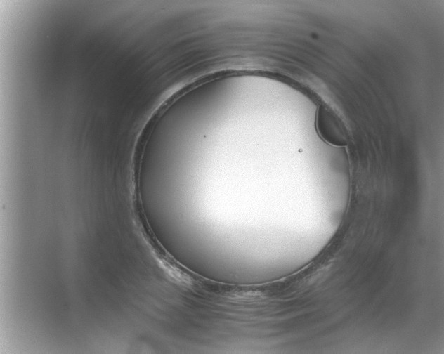 X0000069410837200605262207