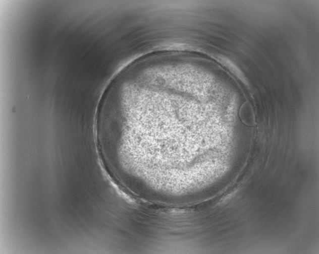 X0000069410839200605262207