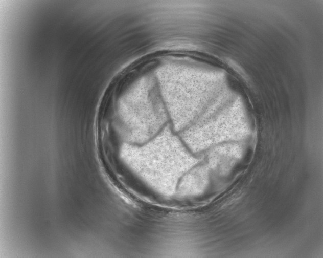 X0000069410840200605262207