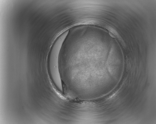 X0000069410842200605262207