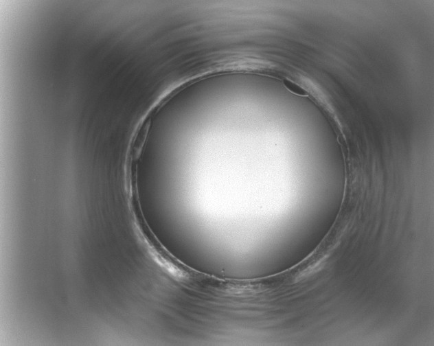 X0000069410843200605262207