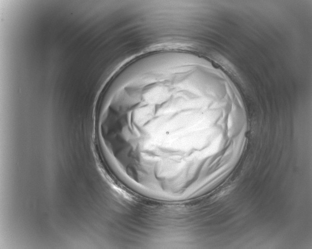 X0000069410844200605262207