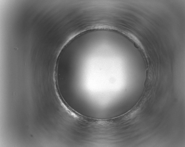 X0000069410847200605262207