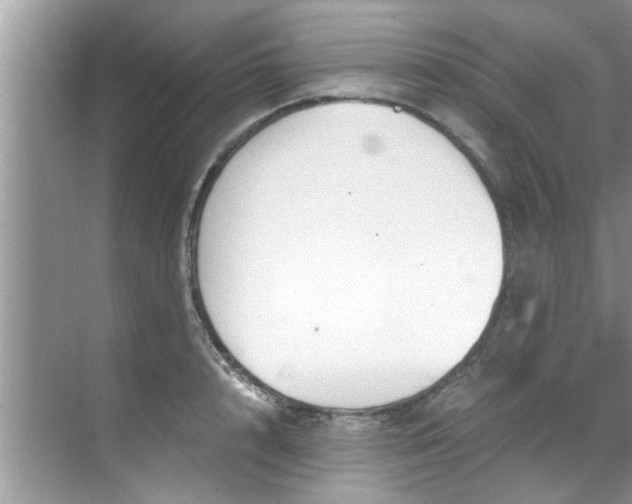 X0000069410848200605262207