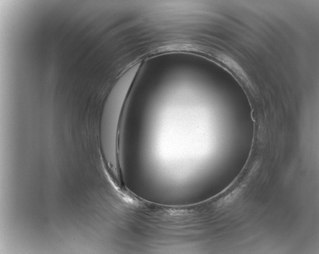 X0000069410849200605262207