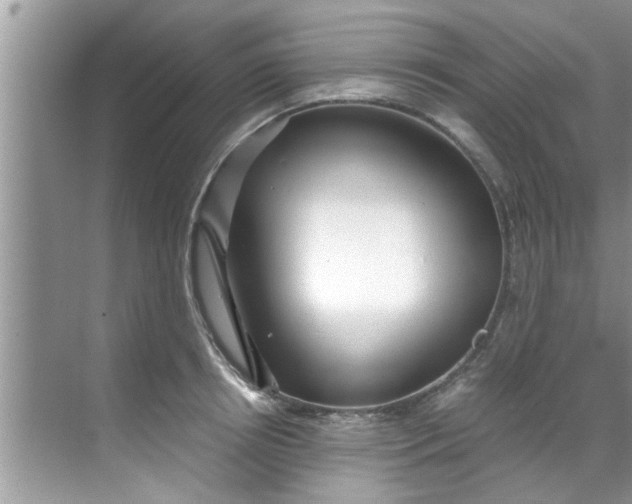 X0000069410850200605262207