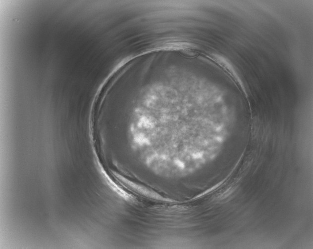 X0000069410851200605262207