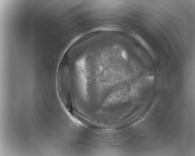 X0000069410853200605262207