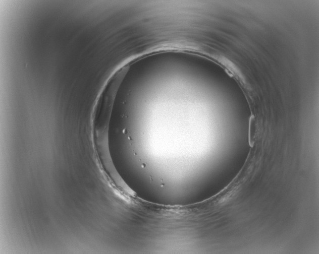 X0000069410854200605262207