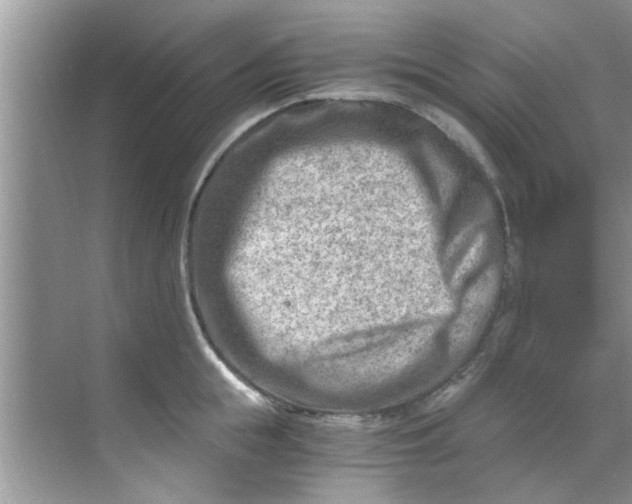 X0000069410855200605262207