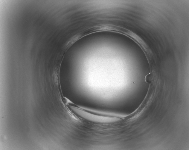 X0000069410857200605262207