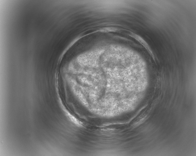 X0000069410859200605262207