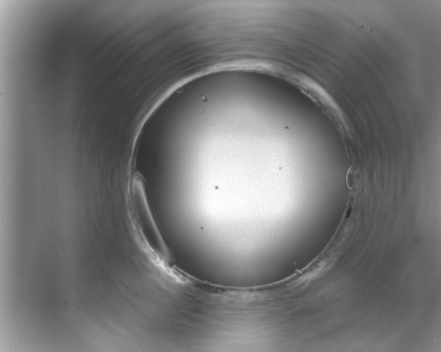 X0000069410860200605262207