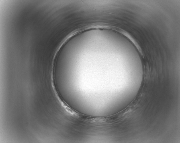 X0000069410861200605262207