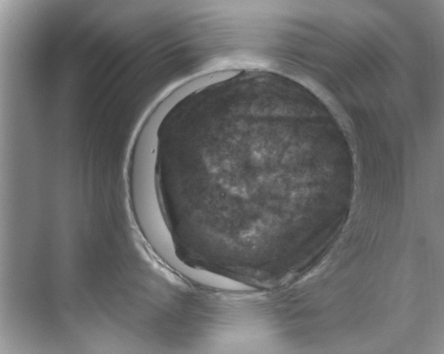 X0000069410864200605262207