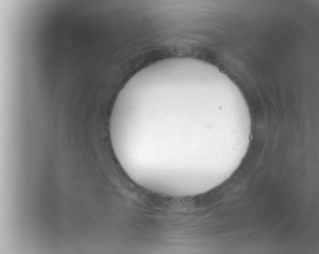 X0000069410865200605262206