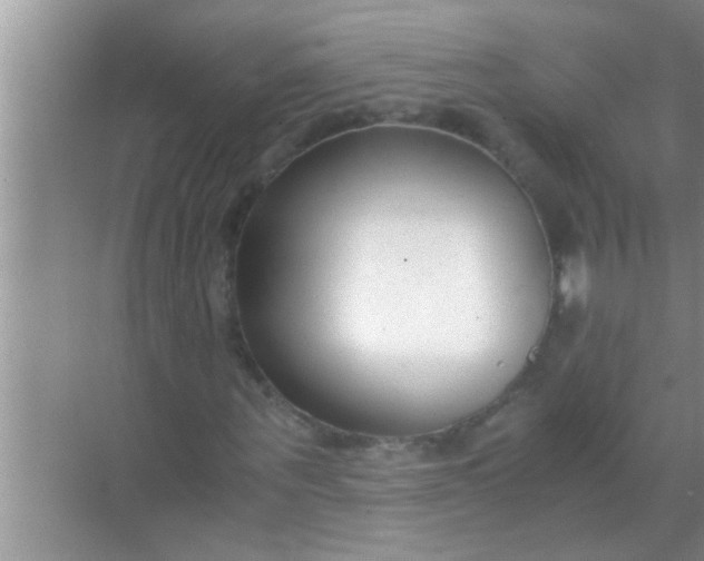 X0000069410867200605262206