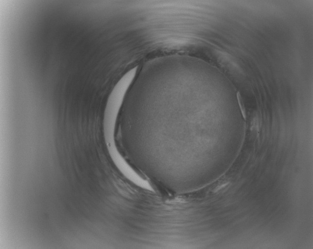 X0000069410868200605262206