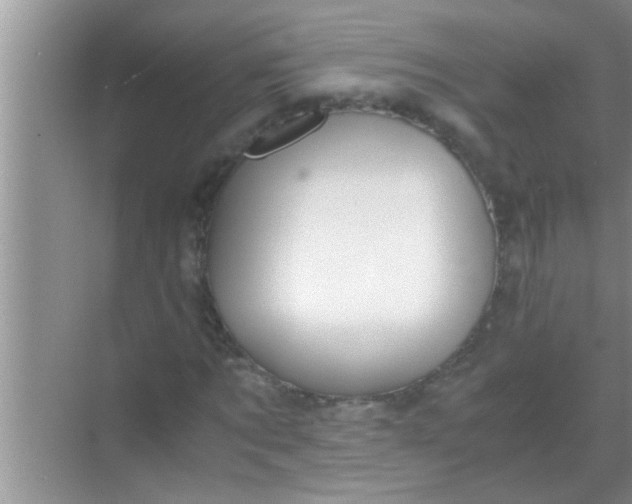 X0000069410869200605262206