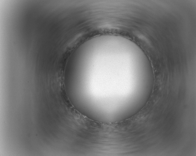 X0000069410870200605262206