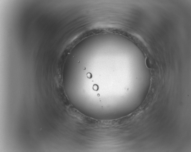 X0000069410871200605262206