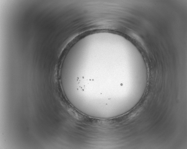 X0000069410875200605262206