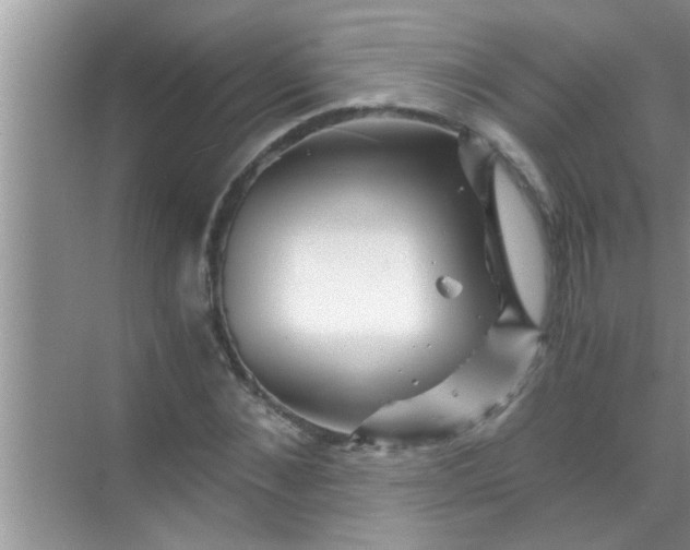 X0000069410876200605262206