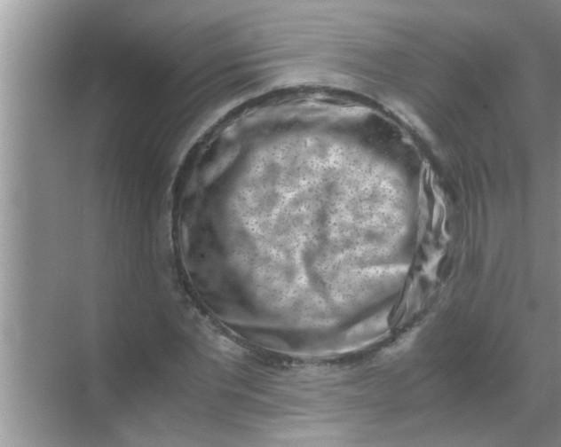 X0000069410877200605262206