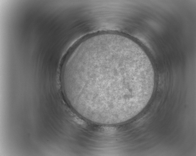 X0000069410878200605262206