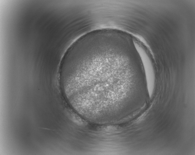 X0000069410879200605262206