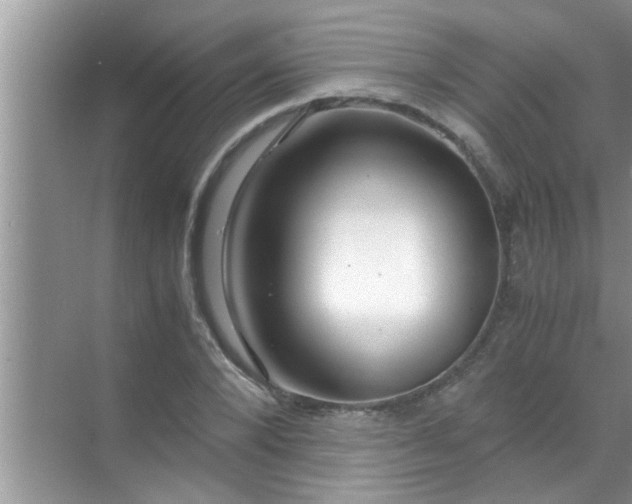 X0000069410880200605262206