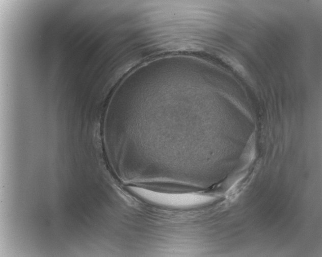 X0000069410881200605262206