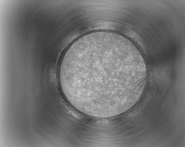 X0000069410882200605262206