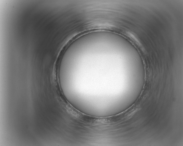 X0000069410883200605262206