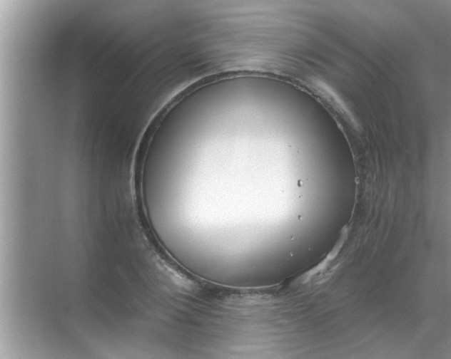 X0000069410884200605262206