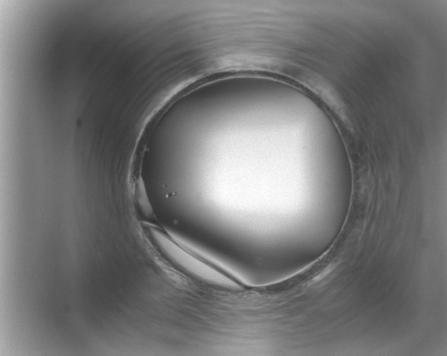 X0000069410885200605262206