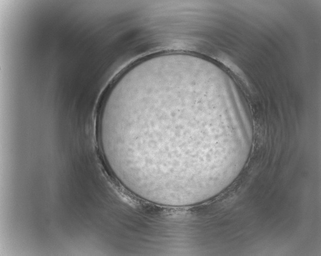 X0000069410886200605262206