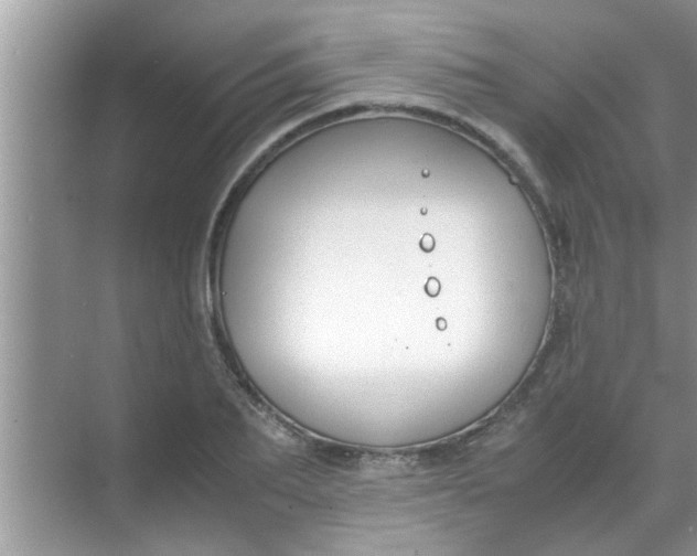 X0000069410887200605262206