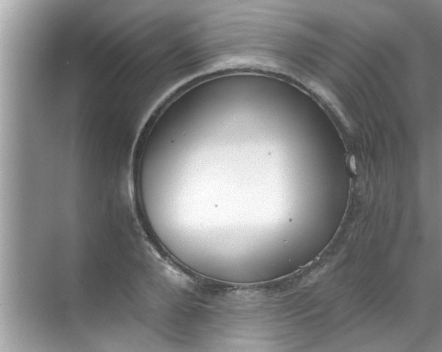 X0000069410888200605262206