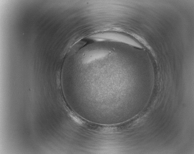 X0000069410889200605262206