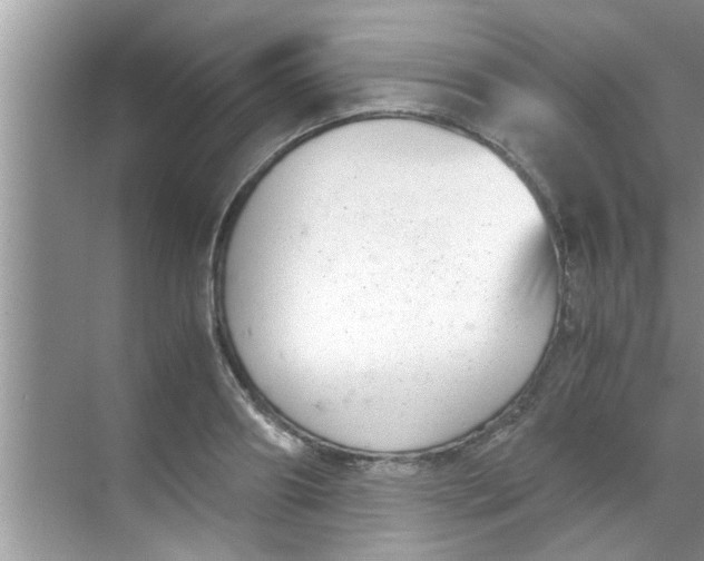 X0000069410890200605262206