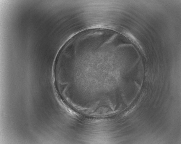 X0000069410892200605262206