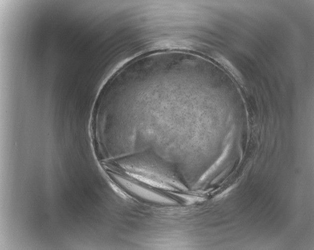 X0000069410893200605262206