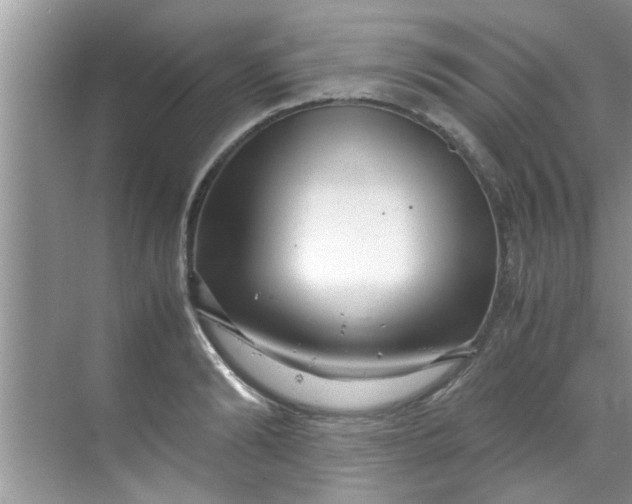 X0000069410894200605262206